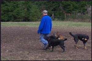 man at dog park